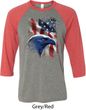 Mens USA Tee American Icon Raglan Shirt