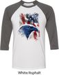 Mens USA Tee American Icon Raglan Shirt