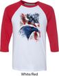 Mens USA Tee American Icon Raglan Shirt