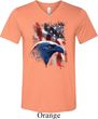 Mens USA Tee American Icon Tri Blend V-neck