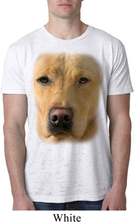 Mens Yellow Lab Shirt Big Yellow Lab Face White Burnout T-Shirt
