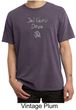 Mens Yoga Shirt Jai Guru Deva Pigment Dyed Tee T-Shirt