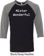 Mister Wonderful Mens Raglan Shirt