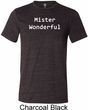 Mister Wonderful Mens Tri Blend Crewneck Shirt