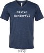 Mister Wonderful Mens Tri Blend V-neck Shirt