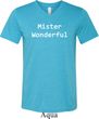 Mister Wonderful Mens Tri Blend V-neck Shirt