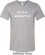 Mister Wonderful Mens Tri Blend V-neck Shirt