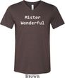 Mister Wonderful Mens Tri Blend V-neck Shirt