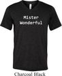 Mister Wonderful Mens Tri Blend V-neck Shirt