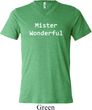 Mister Wonderful Mens Tri Blend V-neck Shirt