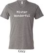 Mister Wonderful Mens Tri Blend V-neck Shirt