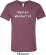 Mister Wonderful Mens Tri Blend V-neck Shirt