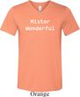 Mister Wonderful Mens Tri Blend V-neck Shirt