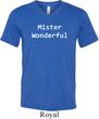 Mister Wonderful Mens Tri Blend V-neck Shirt