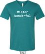 Mister Wonderful Mens Tri Blend V-neck Shirt