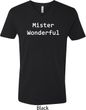 Mister Wonderful Mens V-Neck Shirt