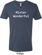 Mister Wonderful Mens V-Neck Shirt