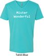 Mister Wonderful Mens V-Neck Shirt