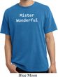 Mister Wonderful Pigment Dyed Shirt