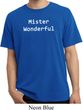Mister Wonderful Pigment Dyed Shirt