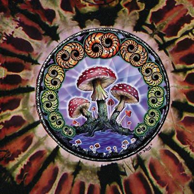 Mushroom Flower Mystical Adult Unisex Tie Dye T-shirt Tee Shirt