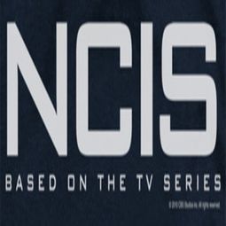 NCIS Logo Shirts