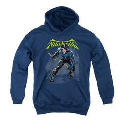 Nightwing DC Comics Youth Hoodie Nightwing Charcoal Kids Hoody