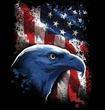 Patriotic American Pride Eagle USA Shirt - Patriotic Black Tee