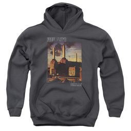 Pink Floyd Kids Hoodie Faded Animals Charcoal Youth Hoody