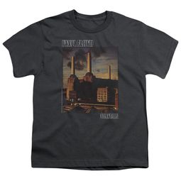 Pink Floyd Kids Shirt Faded Animals Charcoal T-Shirt