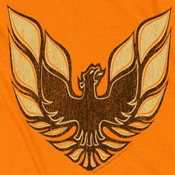 Pontiac 1975 Bird Shirts