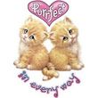Purrfect - Kittens (kids) Youth T-shirt Tee Shirt