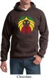 Rasta Lion Head Hoodie