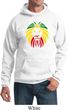 Rasta Lion Head Hoodie