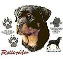 Rottweiler T-shirts