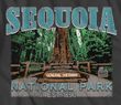 Sequoia National Park General Sherman Adult T-shirt - Charcoal