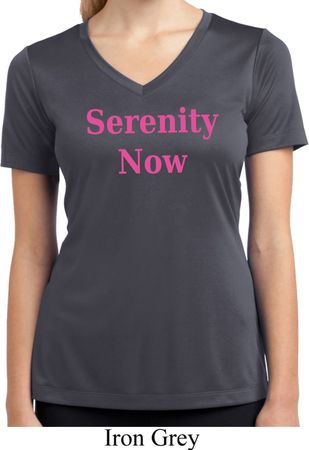 Serenity Now Ladies Moisture Wicking V-neck Shirt