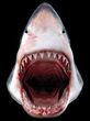 Shark T-shirt - Great White Shark 3D Awesome Adult Tee