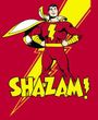 Shazam T-shirt - DC Comics Superhero Adult Tee