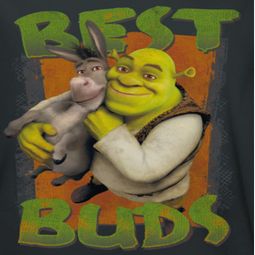 Shrek Best Buds Shirts