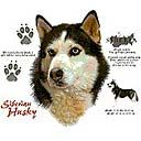 Siberian Husky T-shirts