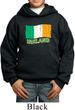 St Patrick's Day Distressed Ireland Flag Kids Hoody
