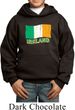 St Patrick's Day Distressed Ireland Flag Kids Hoody