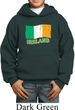 St Patrick's Day Distressed Ireland Flag Kids Hoody