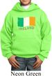 St Patrick's Day Distressed Ireland Flag Kids Hoody