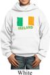 St Patrick's Day Distressed Ireland Flag Kids Hoody