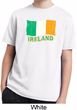 St Patrick's Day Distressed Ireland Flag Kids Moisture Wicking Shirt
