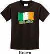 St Patrick's Day Distressed Ireland Flag Kids Shirt