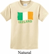 St Patrick's Day Distressed Ireland Flag Kids Shirt