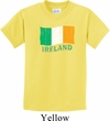 St Patrick's Day Distressed Ireland Flag Kids Shirt